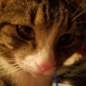 Meet your Posher, Billy